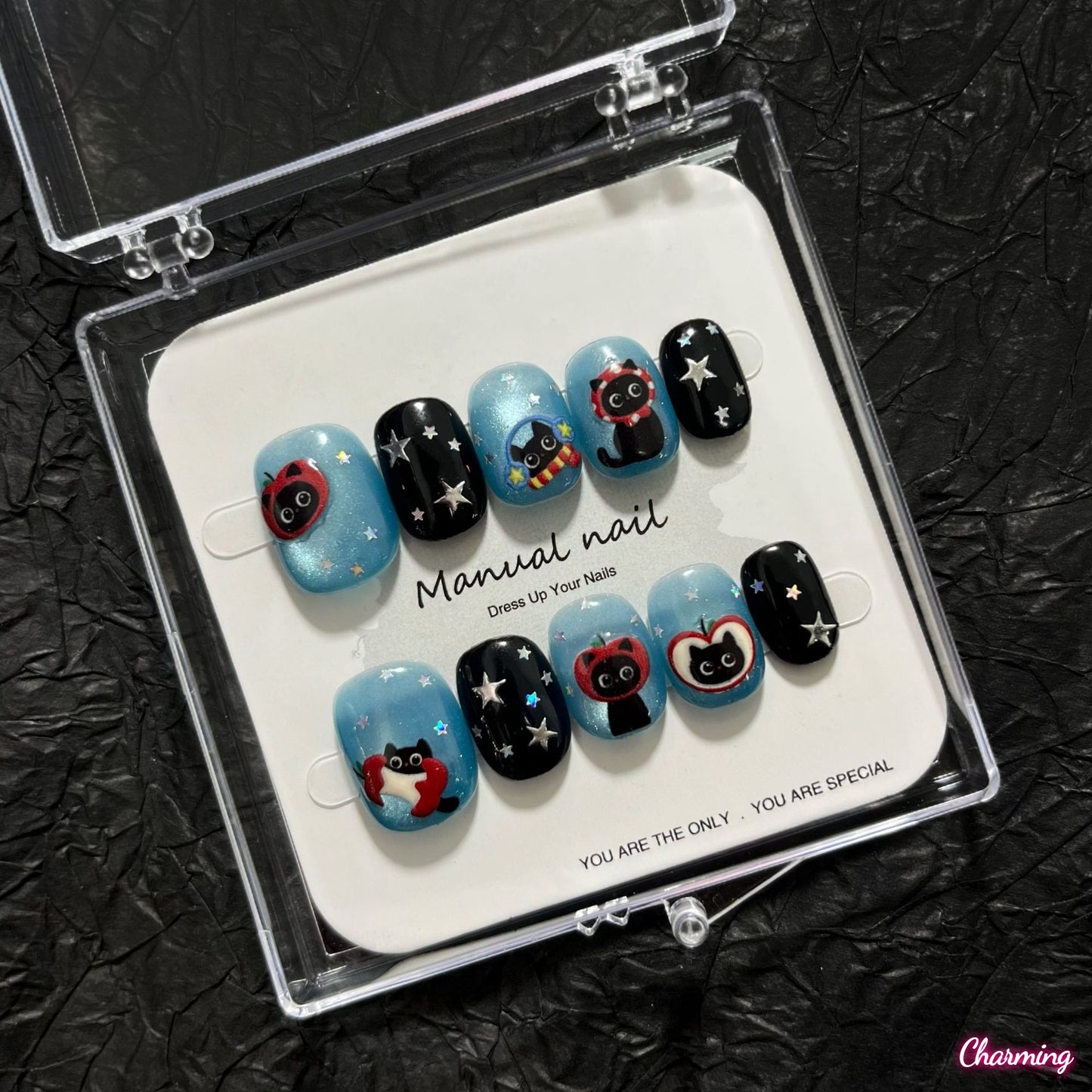 Starlight Whisker / Handmade Nails