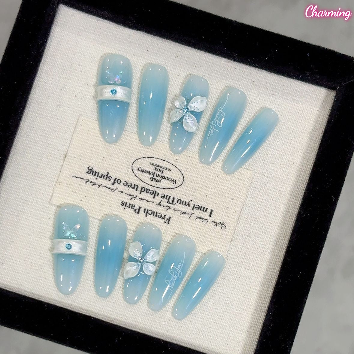 Letters in Blue / Handmade Nails