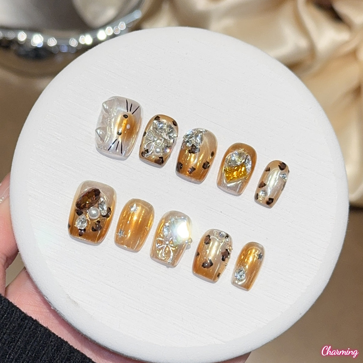 Cat in Warm Light / Handmade Nails