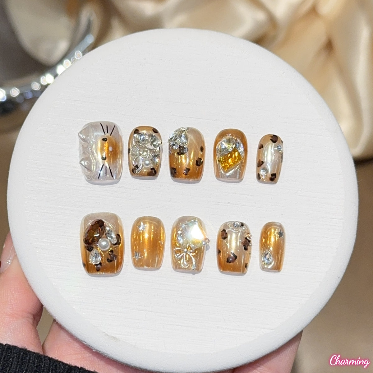 Cat in Warm Light / Handmade Nails