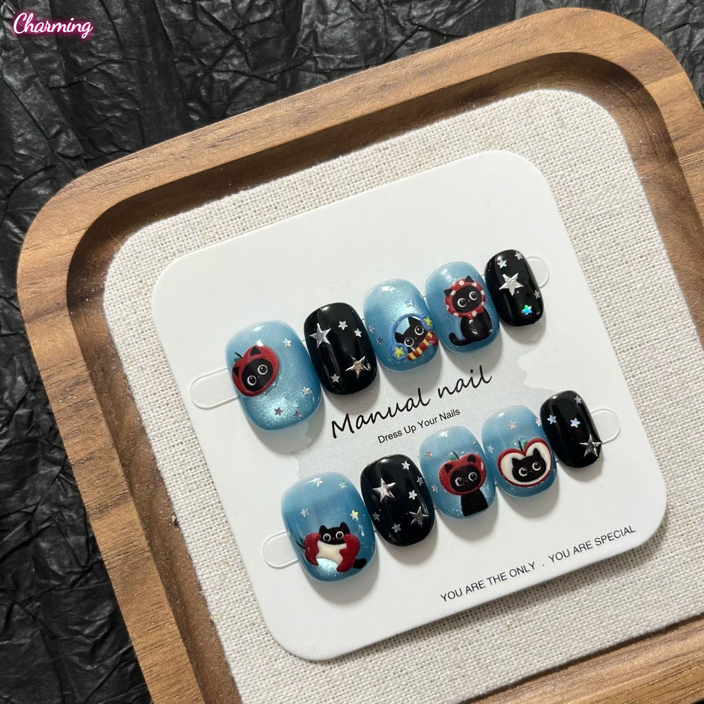 Starlight Whisker / Handmade Nails